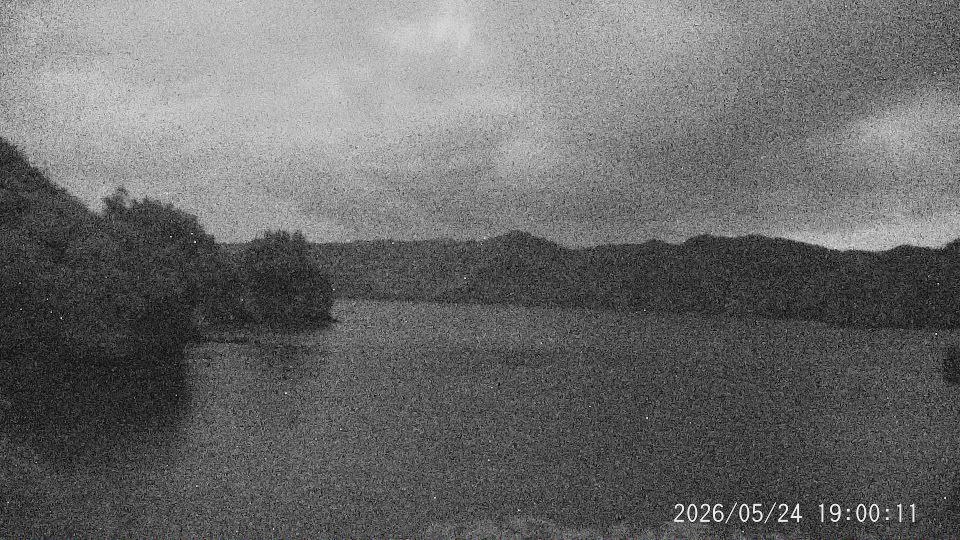最新画像