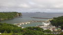 母島　沖港